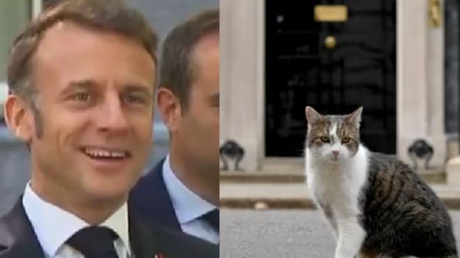 Emmanuel Macron and Larry the Cat