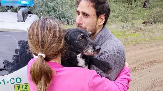 encuentran-boro-perro-desaparecido-accidente-tren-cordoba