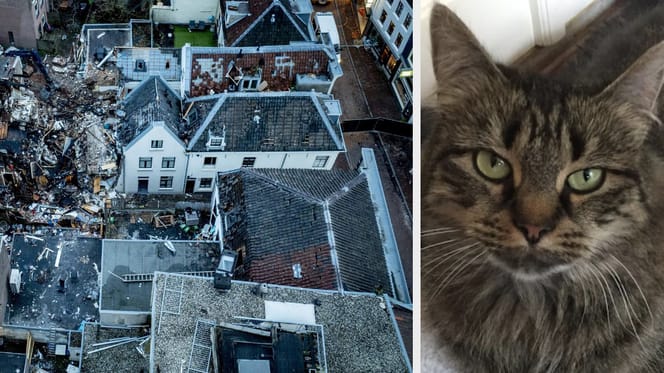 Er worden nog 3 katten vermist na de explosie in Utrecht