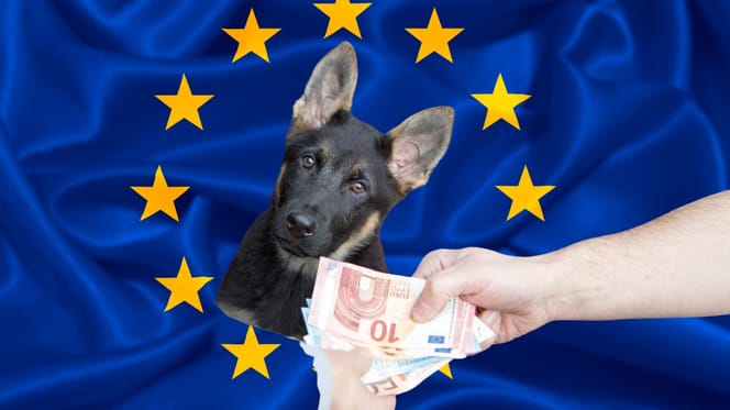 EU-Beschluss gegen illegalen Welpenhandel