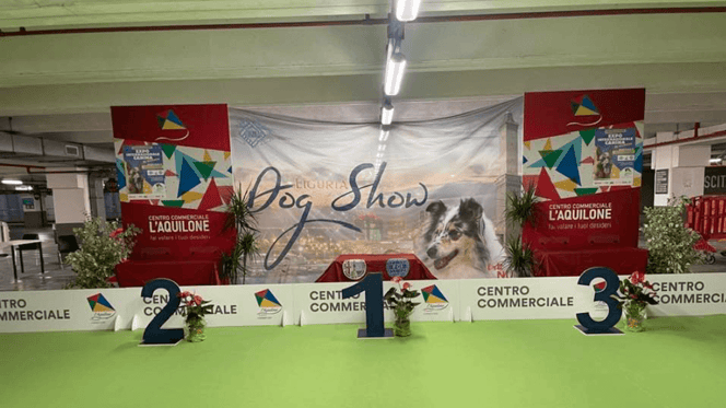 Expo Canina  Internazionale