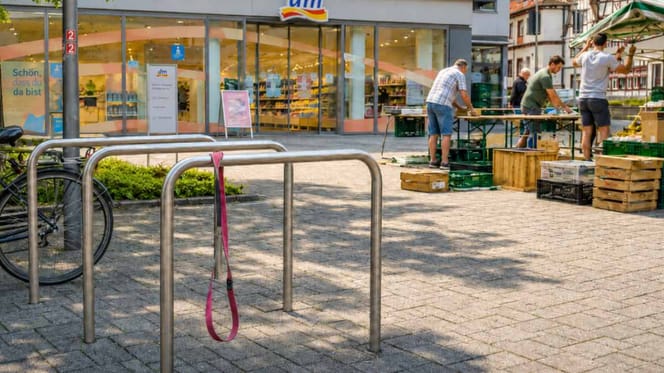 Fahrradständer, über dem eine rosa Hundeleine hängt
