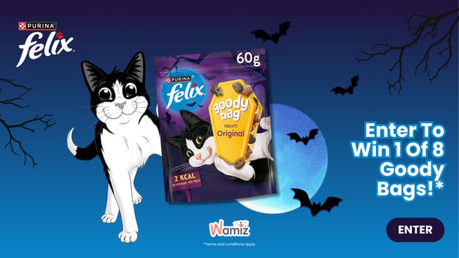 felix goody bag halloween contest
