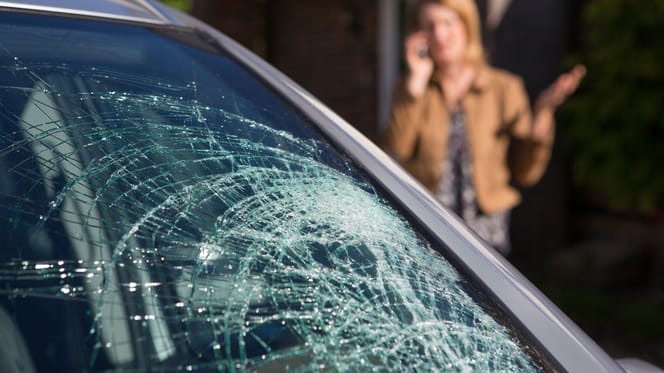 Fenêtre brisée : chien mort piégé dans une voiture