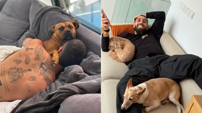 ferran-torres-con-perro-borja-iglesias-con-sus-perros