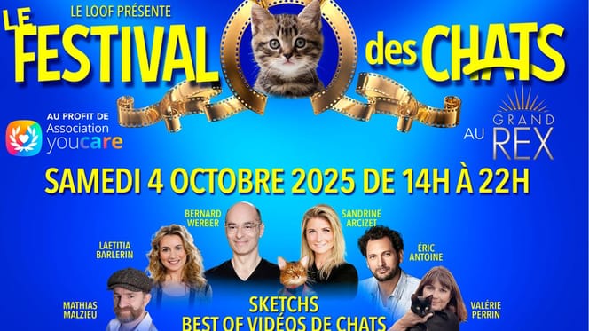 Festival des chats
