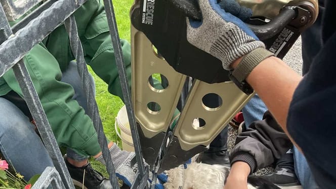Feuerwehr rettet Hund aus Zaun