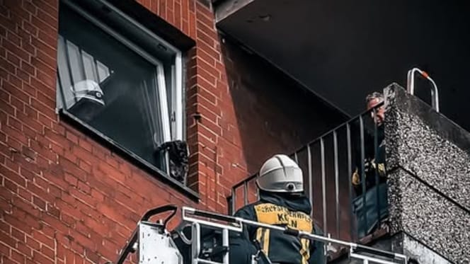 Feuerwehr rettet Katze in Köln