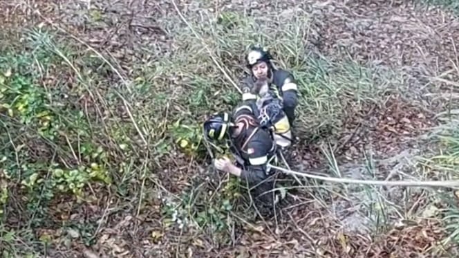 Feuerwehrmänner retten Hund aus Schlucht
