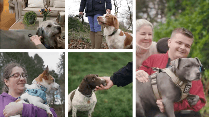 Five dogs competing for Hero Dog Awards 2026 at Crufts