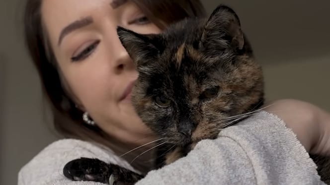 Flossie chatte Guinness des records