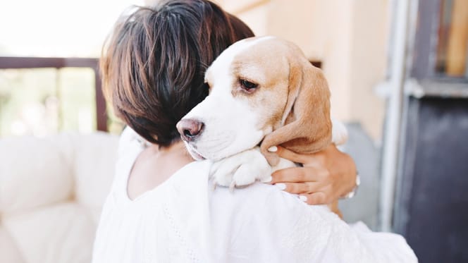 Frau hält Hund fest im Arm
