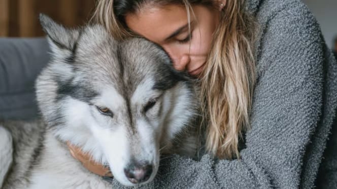 Frau küsst ihren Husky