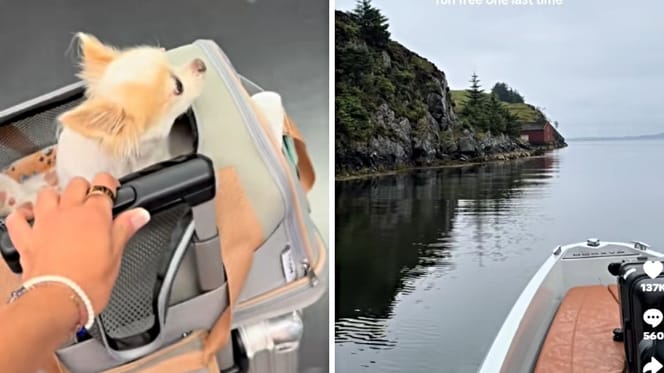 Frau macht mit Hund Urlaub in Norwegen