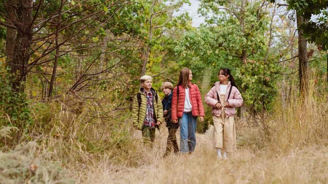 Gruppe von Jugendlichen auf einem Waldspaziergang