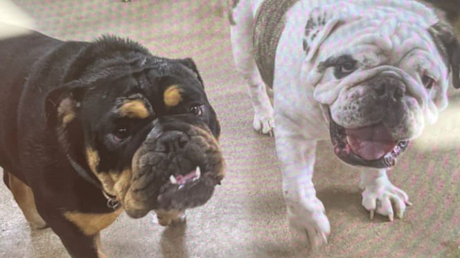 Gus et Maggie