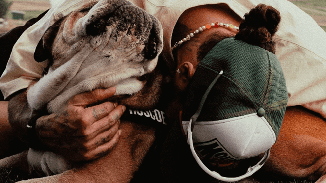 Hamilton e Roscoe