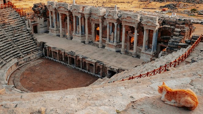 historische kattennamen