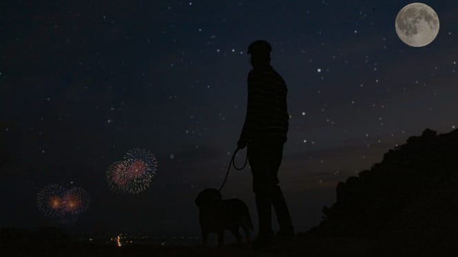 Hoe kom je goed oud en nieuw door met je hond of kat?