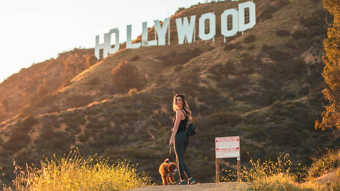 hollywood hondennamen