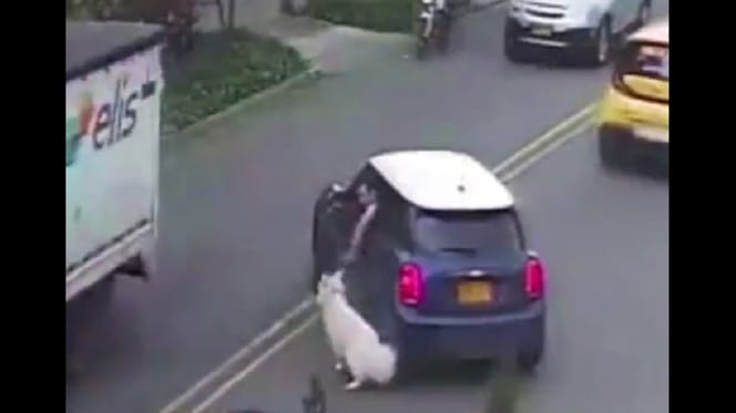 hombre arrastra a perro en Bogotá