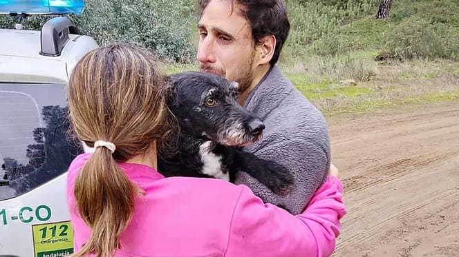 Hond Boro raakte vermist tijdens treinramp, maar is weer herenigd met zijn baasjes