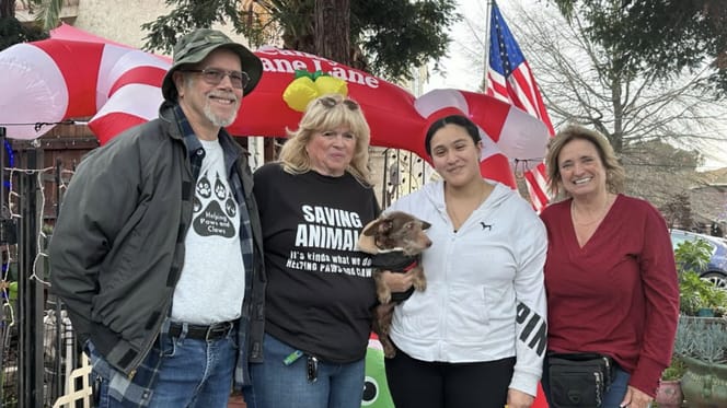 Hond Choco na 5 jaar teruggevonden