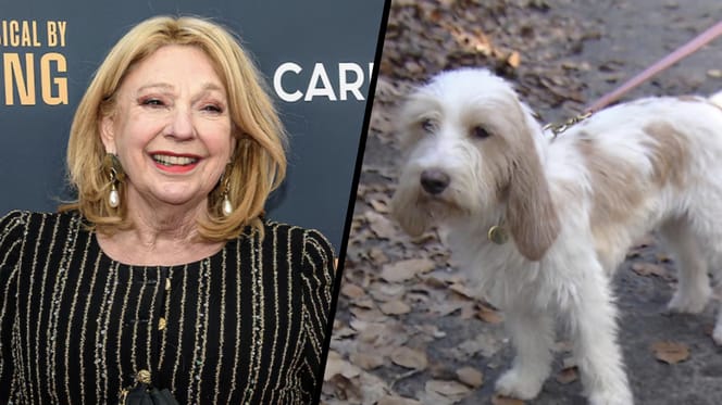 Hond Filou van Janny van der Heijden moest naar dierenarts