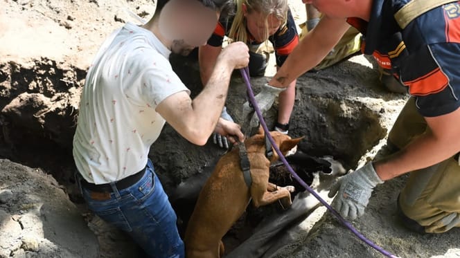 Hond in Leiderdorp wordt uitgegraven door brandweer