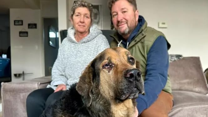 Hond Kaz vat vlam bij sfeerhaard