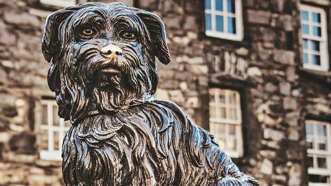 hond mee naar Schotland