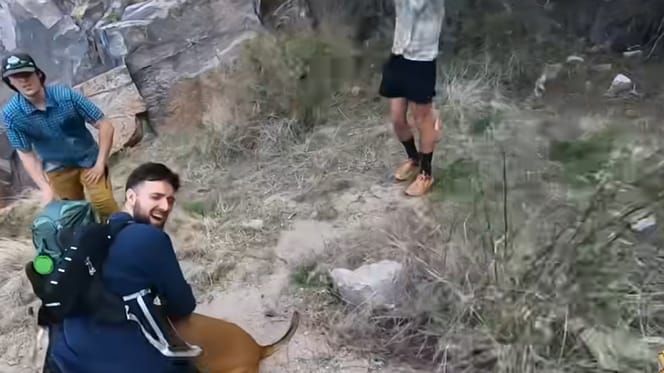 Hond moet per helicopter worden gered na val in Canyon