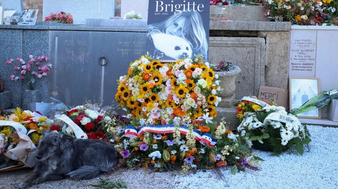 Hond naast graf van dierenvriend Brigitte Bardot