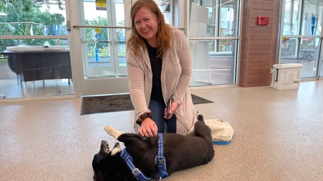 Hond Opie legde een afstand van 3000 km af