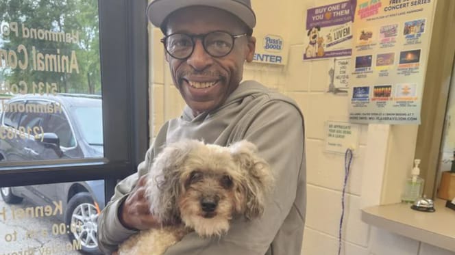 Hond Peter wordt na 10 jaar weer herenigd met zijn baasje