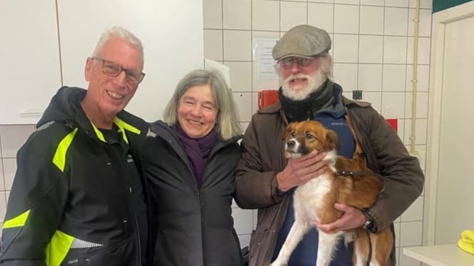 Hond Sammie neemt de trein, maar zonder baasje