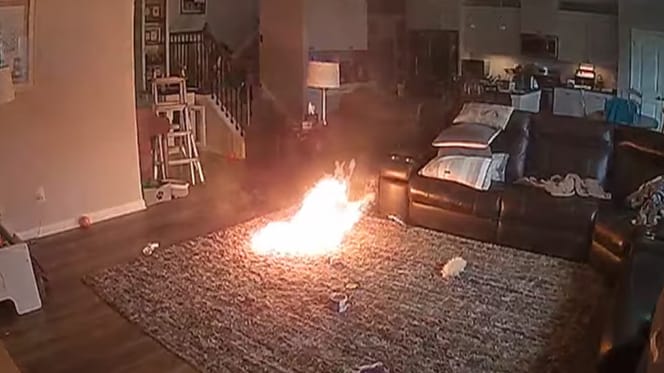 Hond veroorzaakt brand door op batterij te kauwen