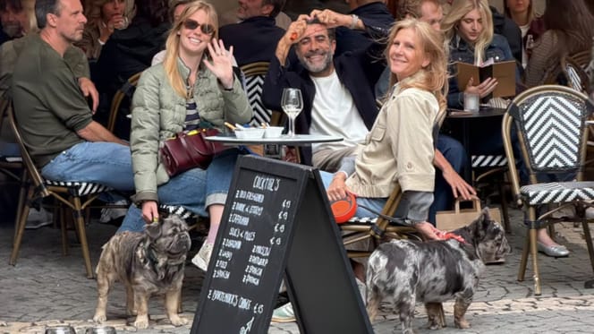 Honden in Antwerpen gaan op kroegentocht