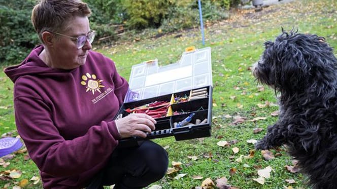 Honden van vuurwerkangst afhelpen door middel van EMDR therapie