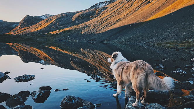 hondennamen gebaseerd op bergen en natuurgebieden