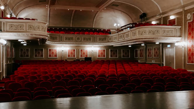 hondennamen geïnspireerd door musicals
