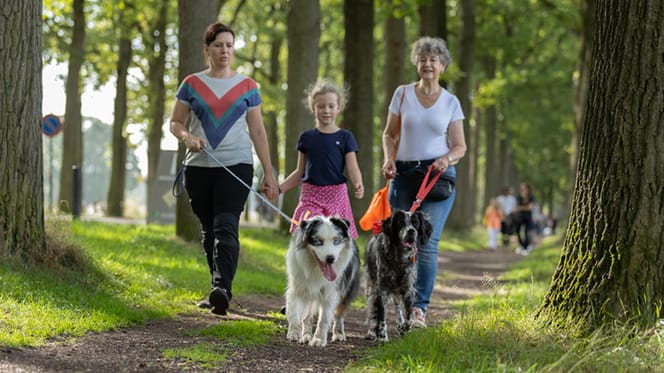 Hondenvoorhondenloop 2026