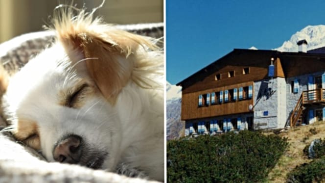 Hüttenwirt verweigert Hilfeleistung für Hund