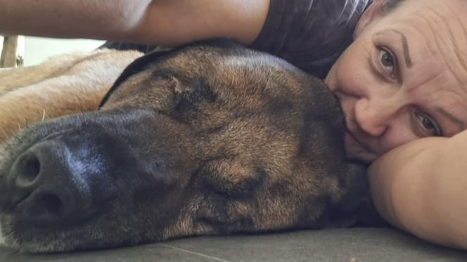 Hund Douman braucht ein Weihnachtswunder