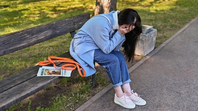 Hund einer Halterin ist entlaufen