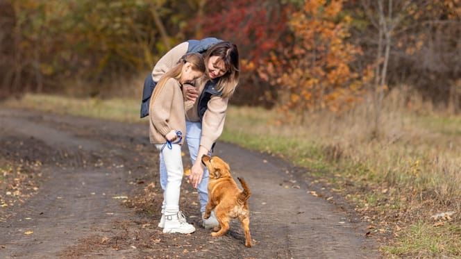 Hund sind für Mütter oft belastend