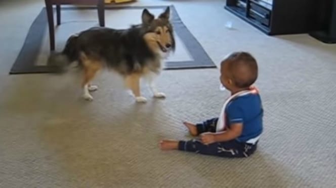 Cane e bambino