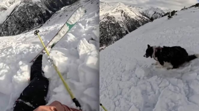 Hund und Halterin geraten in eine Lawine