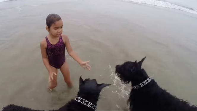 Hund und Kind am Strand