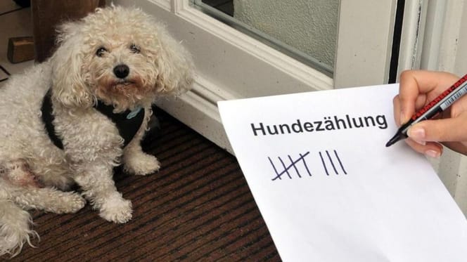 Hunde-Kontrolleur mit Strichliste
